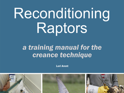 cover of creance training manual