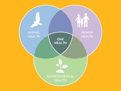 Venn diagram showing showing "one health" as the result of "animal health," "human health," and "environmental health" overlapping