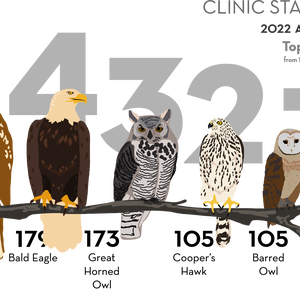 clinic statistics illustration